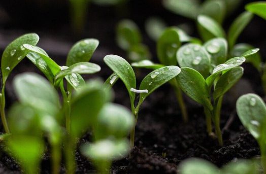 sustainable-technologies